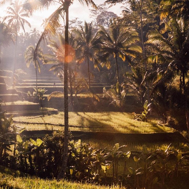 Kids playground area in Italy